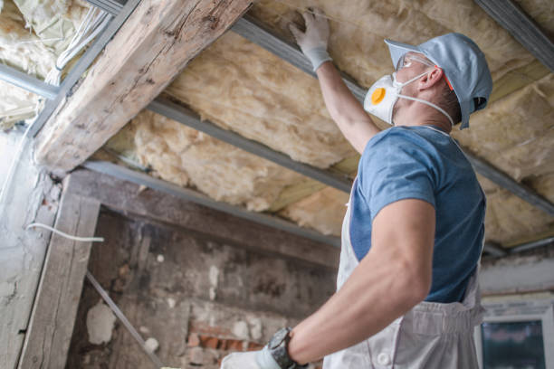 Best Blown-in Insulation  in St Elmo, IL