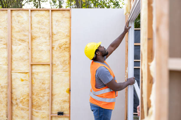 Best Crawl Space Insulation  in St Elmo, IL
