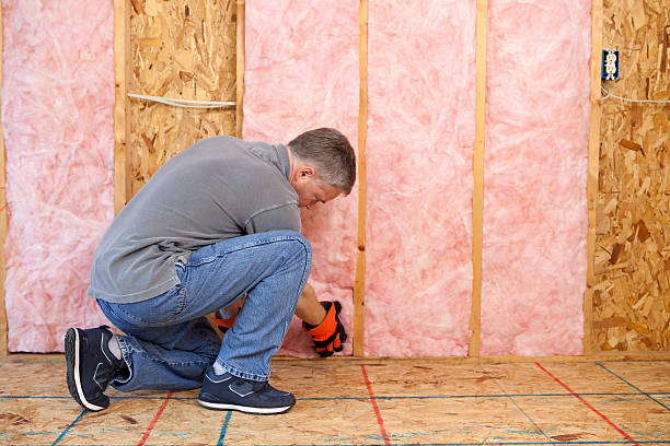 Best Best Insulation Companies  in St Elmo, IL